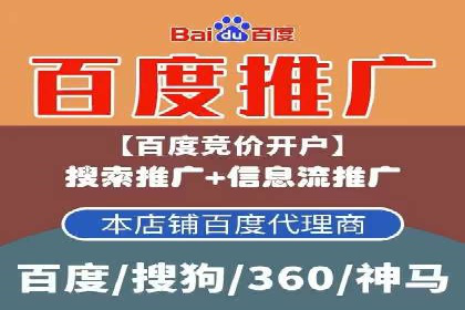 行业领先企业的SEM运营策略案例解析